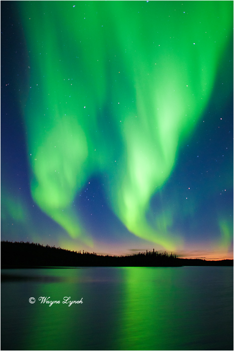Aurora Borealis 129 by Dr. Wayne Lynch &copy;